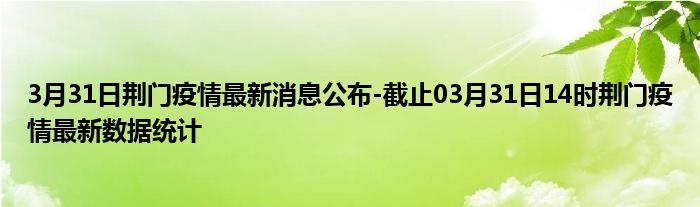 荆门最新疫情实时动态更新